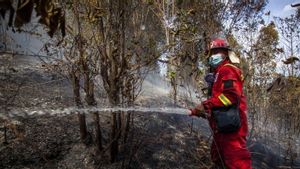 Mitigasi Bencana, Kemenhut Petakan Daerah Rawan Karhutla