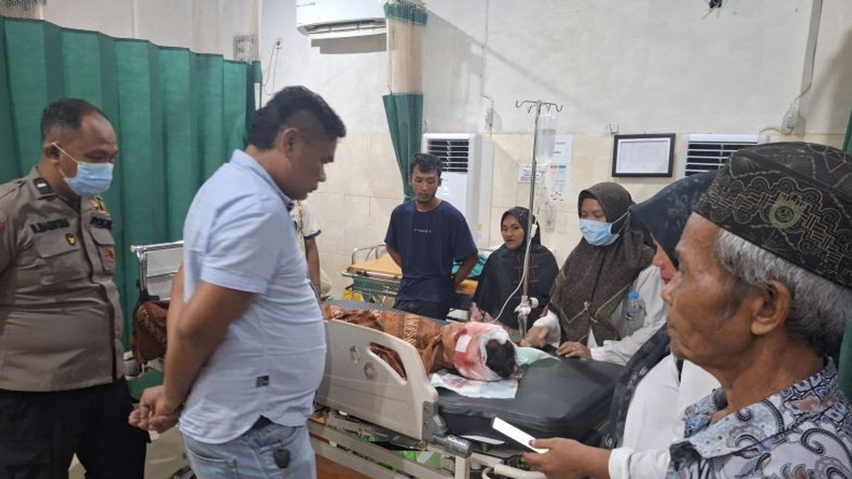 d'un ours attaque des agriculteurs à Muaro Jambi