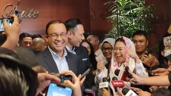 Yenny Wahid断言,他从未想过成为Anies Baswedan的副总统