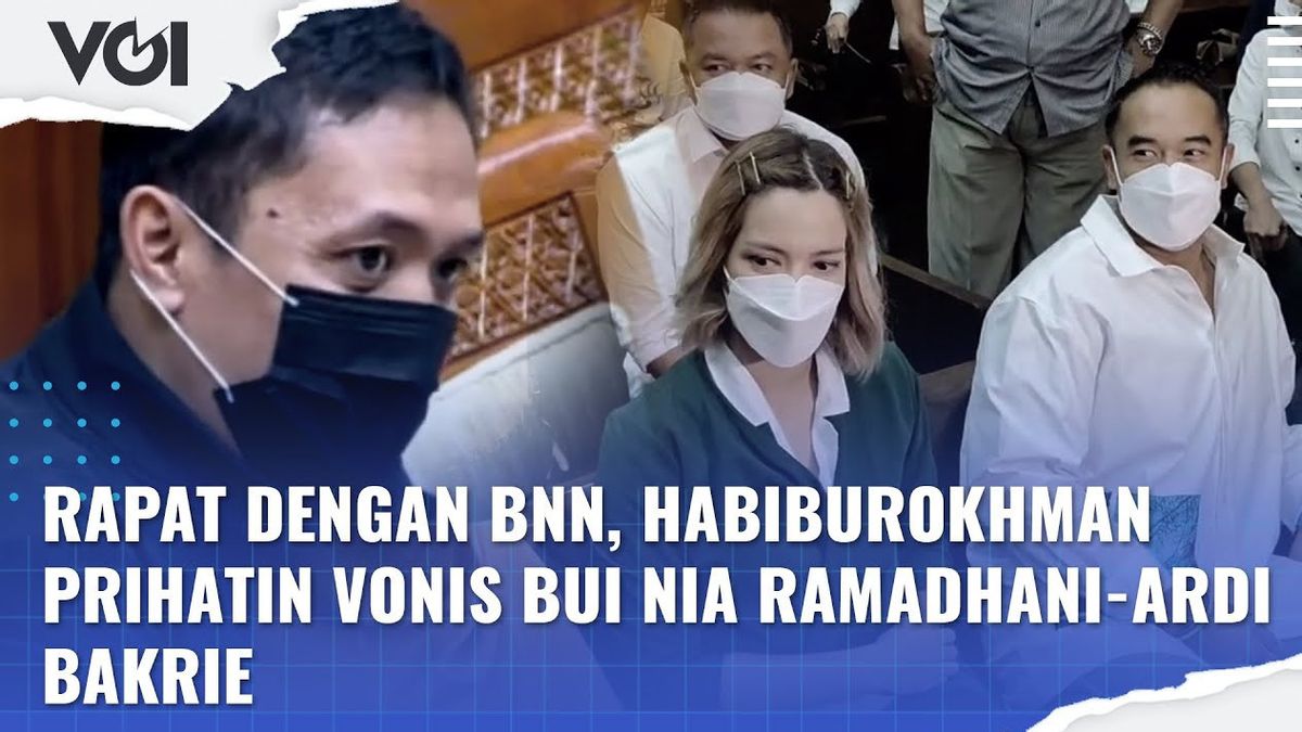 VIDEO: Vonis Bui Nia Ramadhani dan Ardi Bakrie Disorot DPR Saat Rapat dengan BNN 