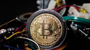 Siap-Siap Untung Besar, Penambangan Bitcoin Jadi Lebih Mudah dan Menguntungkan 