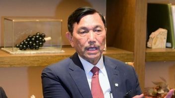 Luhut Says China Will Control 48 Percent Of Electric Vehicle Market In 2030: Indonesia Must Play A Role, We Have 30 Percent Of World Nickel Reserves