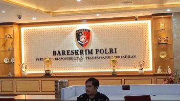 Bareskrim Dituntut Serius Selidiki Pembalakan Liar di Sumatera