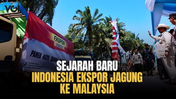 Momen Bersejarah, Presiden Prabowo Subianto Lepas Ekspor Jagung ke Malaysia untuk Pertama Kali