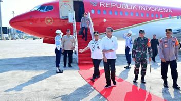 Jokowi Kunker ke Kaltim, Resmikan Terminal Samarinda Seberang