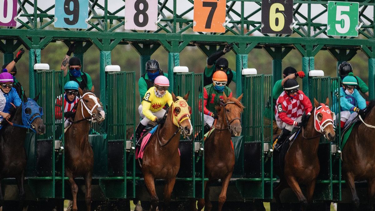 Scientists Successfully Identify Champion Racehorse Genes, Decide for Race or Breeding