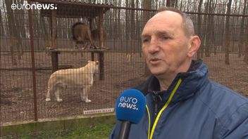 The COVID-19 Pandemic, The Owner Of This Zoo Withdraws From Savings For 400 Animals