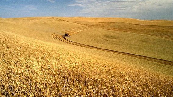 特朗普关税和伊朗战争使美国大豆农民更加艰难