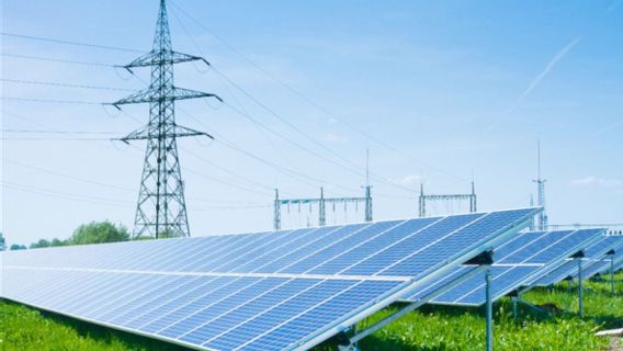Observer: Whoever The President Is, The Energy Transition Is The Dead Price