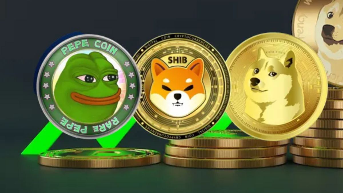 Bitcoin Price Drops, Meme Coin Drops