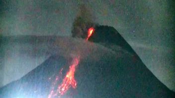 Update Gunung Merapi: Awan Panas Meluncur Tiga Kali Hingga 1,8 km