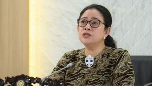 Aktivis HAM, Natalius Pigai Sebut Puan Maharani Pemimpin Bersih