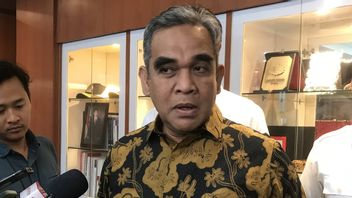 Riza Patria Cancels South Tangerang City Guard, Gerindra: Focuses On Winning RK In Jakarta Gubernatorial Election