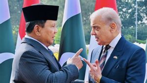 Indonesia–Pakistan Sepakati 7 MoU, Prabowo Ajak PM Sharif ke Jakarta