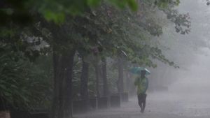 今天的天气:该国大城市遭受小雨到大雨