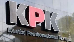 Korupsi Kepabeanan Diduga Terstruktur, KPK Diminta Audit Forensik Aliran Dana