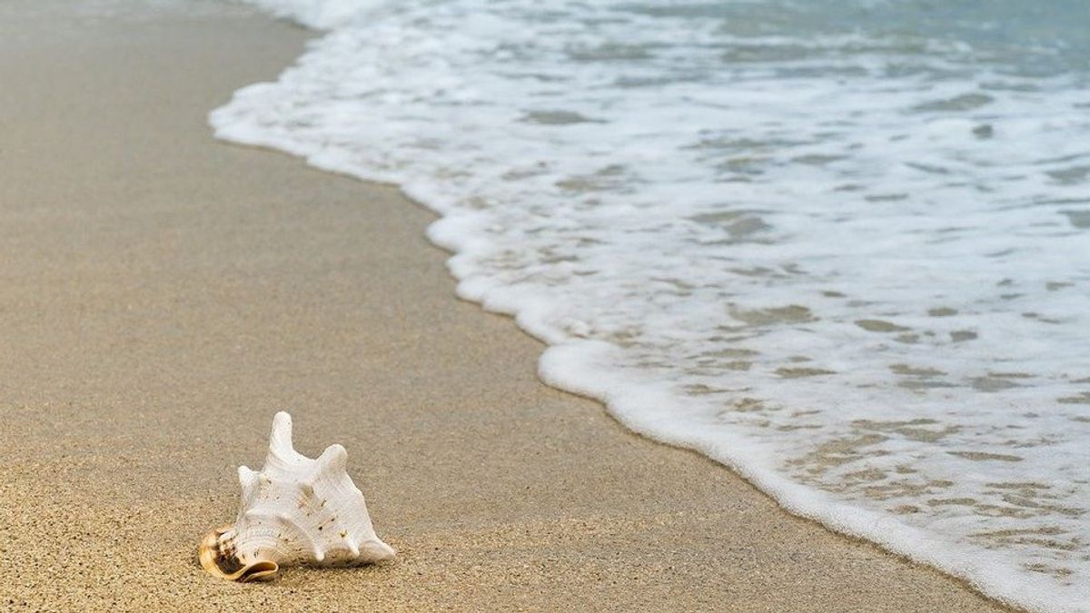 Manfaat Positif Liburan ke Pantai bagi Kesehatan Fisik dan Mental