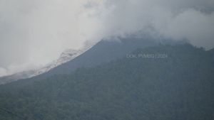 Gunung Lewotobi Laki-laki Erupsi Luncurkan Awan Panas Guguran 1,5 Km