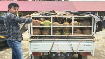 コナウで販売許可証なしとされる3kgガスボンベ200本が警察に押収された