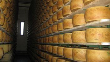 The Owner of the Grana Padano Factory Died Buried in Thousands of Cheeses, It Took 11 Hours to Evacuate His Body
