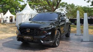 Pasar SUV Sedang Naik, Alasan Honda CR-V Jadi Model Penting di Tanah Air
