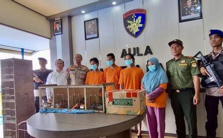 4 Pelaku Jual Beli Satwa Dilindungi Ditangkap di Banjarmasin, 28 Burung Cucak Ijo Diamankan