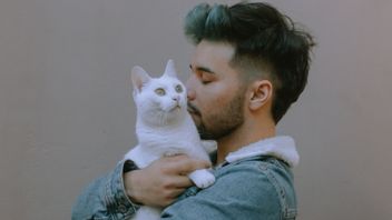 あなたはAilurophileや猫の恋人が含まれていますか?科学によると、それは肉体的および精神的に良い影響です