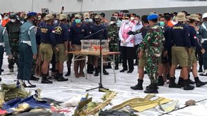 Masyarakat Diharapkan Tak Takut Naik Pesawat Usai Jatuhnya Sriwijaya Air SJ-182