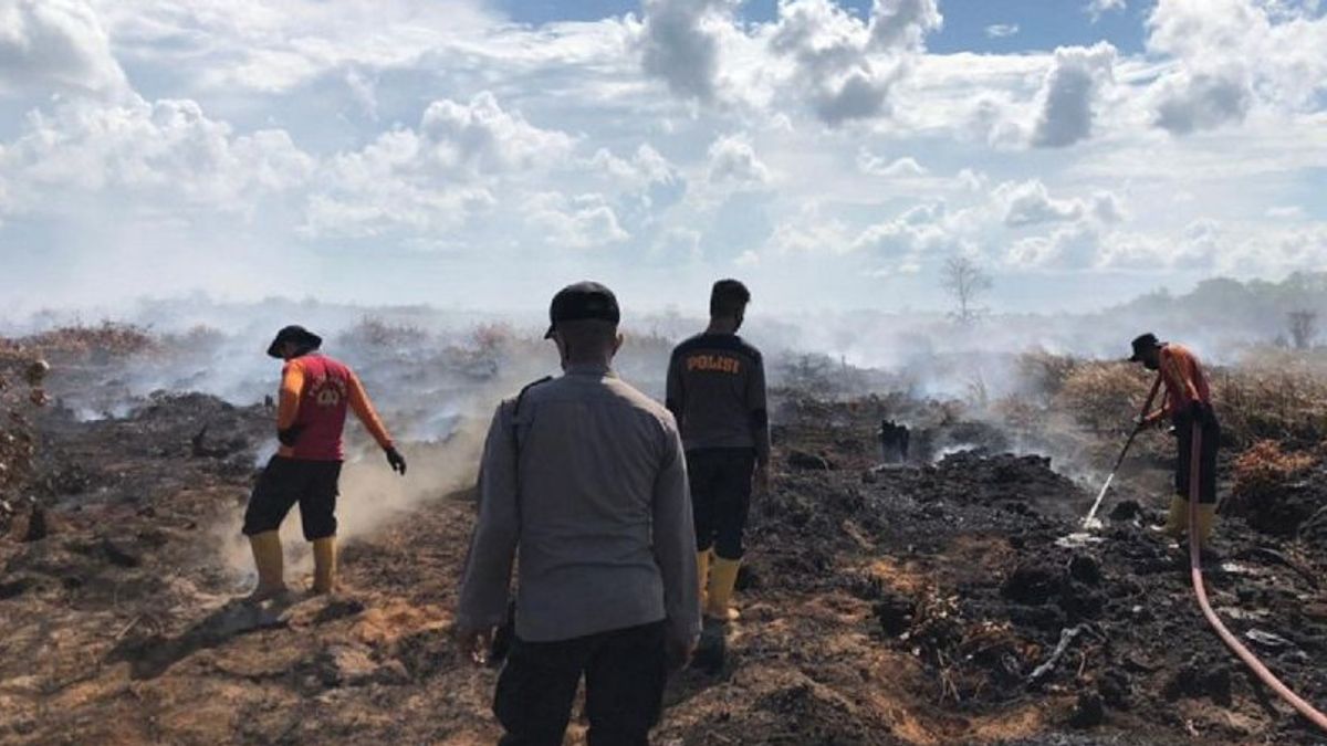 占碑的空气质量因森林和陆地火灾而下降