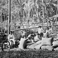 Lada Digunakan Sultan Banten Sebagai Hadiah untuk Gubernur Jenderal Daendels dalam Sejarah Hari Ini, 8 Juli 1808