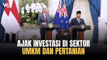 Presiden Prabowo Ingin Australia Perluas Investasi di Sektor UMKM dan Pertanian