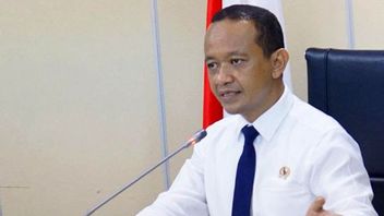 Cabinet Reshuffling, The Head Of Investment Coordinating Board Bahlil Lahadalia Gets Promoted To Become Minister Of Investment?