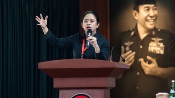 Puan Ensures Megawati's Relationship With Prabowo Is Fine