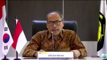 Dirjen Migas Laporkan Realisasi Penyaluran Elpiji 3 Kg hingga Mei 2023 Capai 41,6 Persen