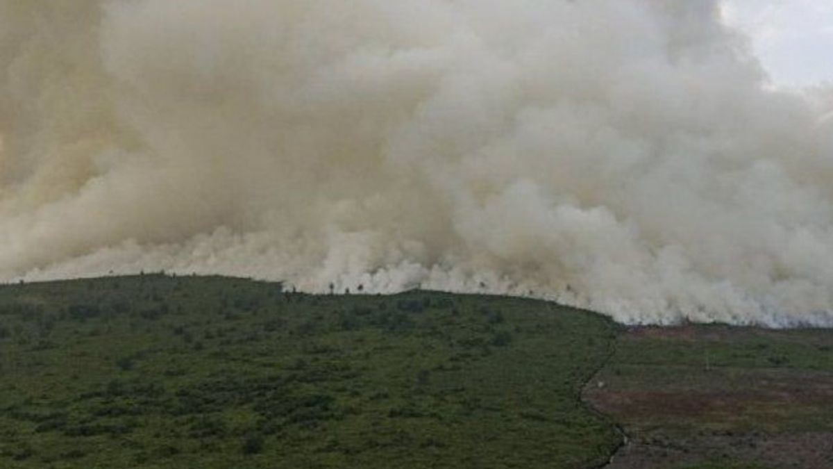 The Joint Team Intervened To Put Out 25 Hectares Of Forest Fires In Bengkalis Riau