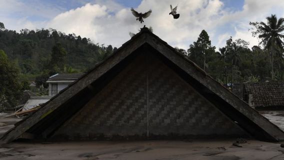 Pentingnya Peran Handy Takly dalam Proses Evakuasi di Gunung Semeru