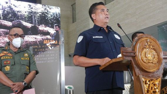 Bareskrim Tangkap Bos Perusahaan Penebang Liar di Kalteng