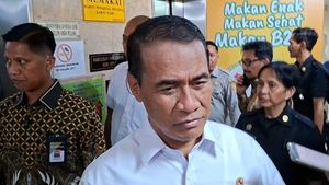 Mentan Amran Bongkar Biang Kerok Impor 250 Ton Beras Masuk RI