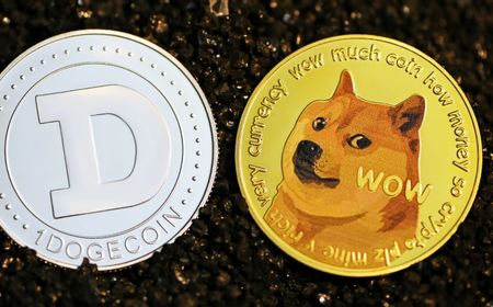 DOGE Terbang, Ini Pengembangan Terbaru Dogecoin yang Tidak Kamu Ketahui!