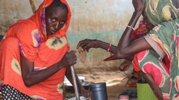 RSF Sudan Agrees With US-Arab Ceasefire Proposal