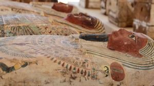 Waduh! Ditemukan Peti Berisi Harta Karun di Makam Mesir kuno