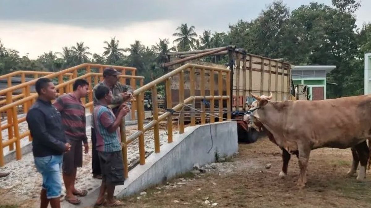 Berita Kulon Progo: Kulon Progo Awasi Lalu Lintas Ternak di Pasar Hewan Pengasih