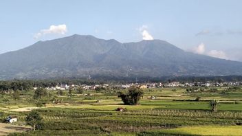 Gunung Marapi Kembali Erupsi pada Selasa Sore