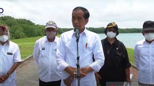 Tiba di Bali, Jokowi Pastikan Ajak Pimpinan G20 Tinjau Lahan Konservasi Mangrove