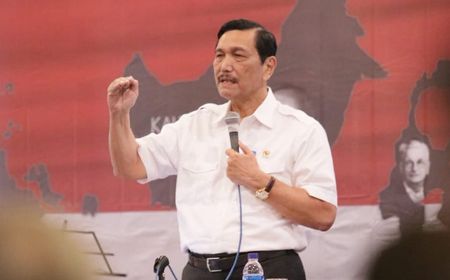 Luhut: Setelah Pelabuhan, Pabrik Mobil Listrik juga akan Dibangun di Patimban