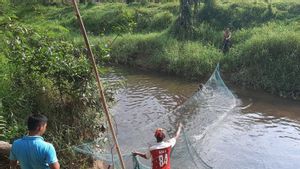 Resahkan Warga, Pencarian Buaya di Desa Kemingking Dalam Jambi Malah Dihentikan