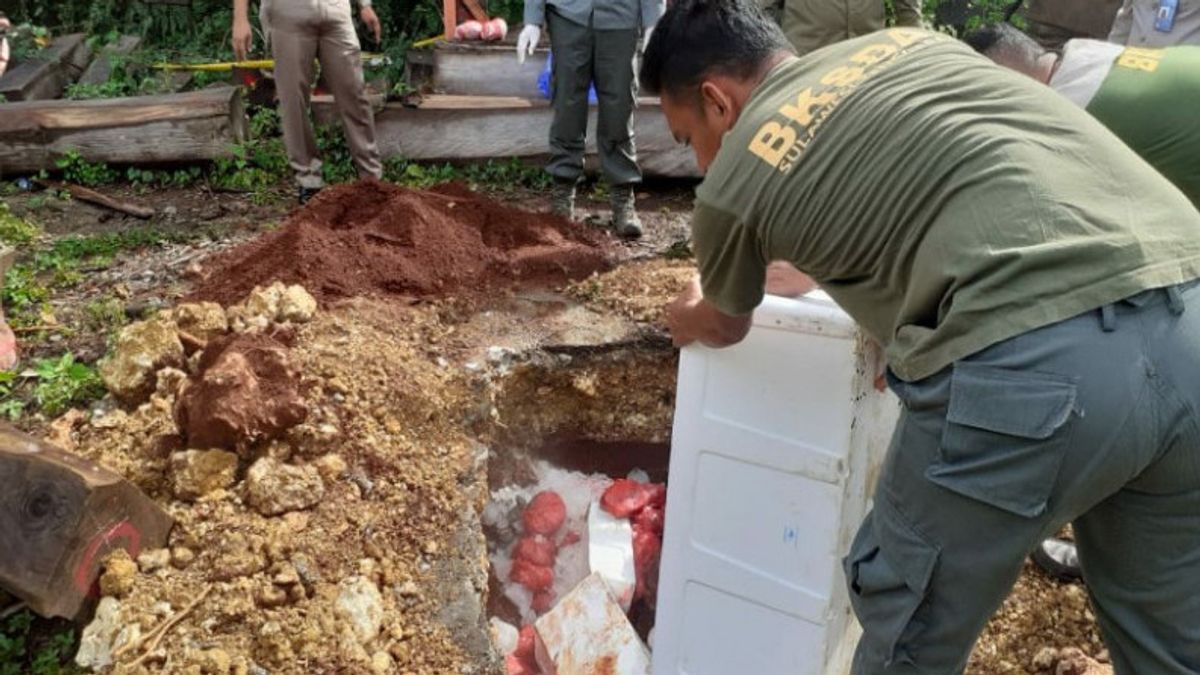 Balai Karantina Kendari Gagalkan Penyelundupan 100 Kg Daging Rusa