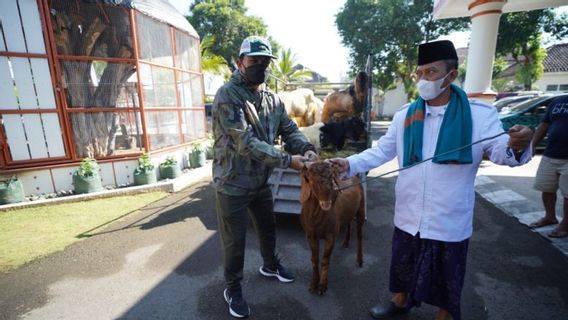 DKPP Madiun City：受口蹄疫影响的牺牲动物肉只要煮熟就可以食用