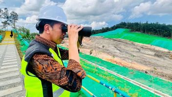 Jokowi Will Groundbreaking For The First Foreign Investment Project At IKN This Week