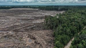 Konflik Global, Perubahan Iklim, dan Food Estate Salah Urus: Indonesia Hadapi Ancaman Krisis Pangan